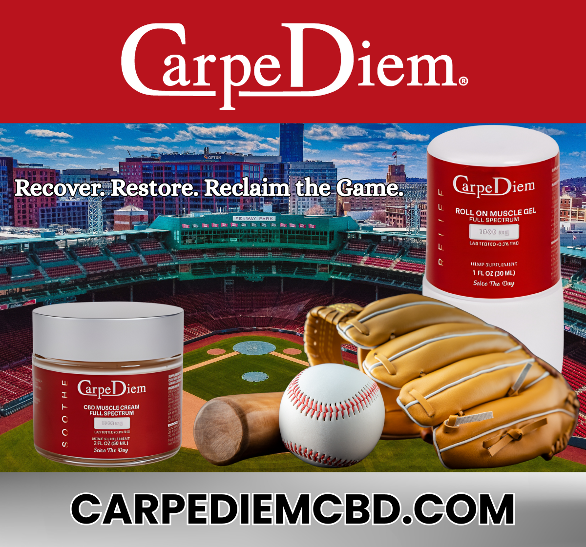 new-silver-carpe-diem-sponsor-2025